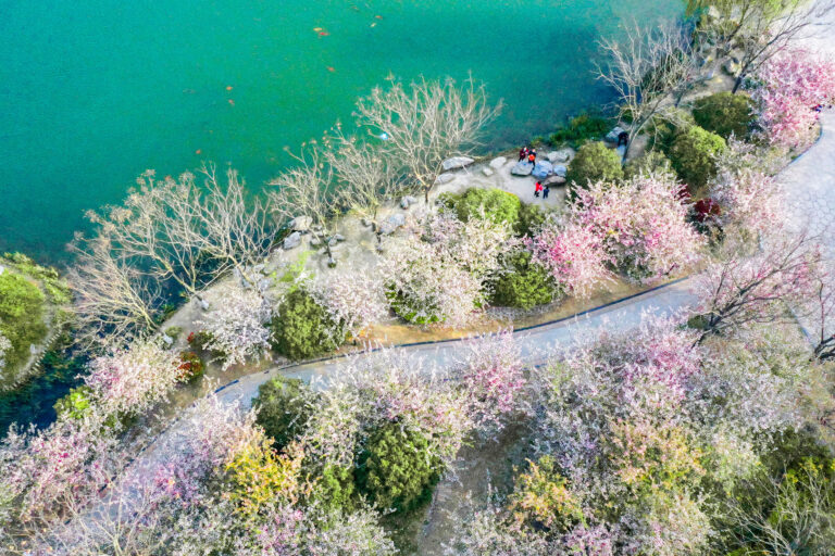 Splendid River and Mountain - Nanshan Park full of spring
